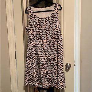 Polkadot dress